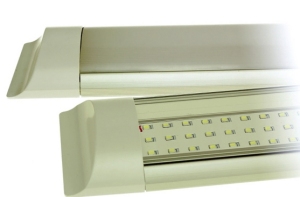    R+C ZD-LTD-006-20W
